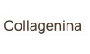 Collagenina